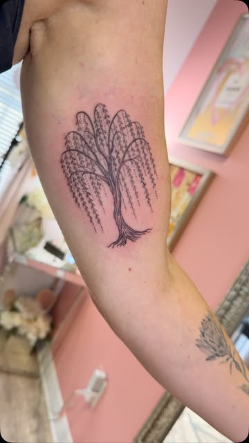Fine line willow tree on the inner upper arm
