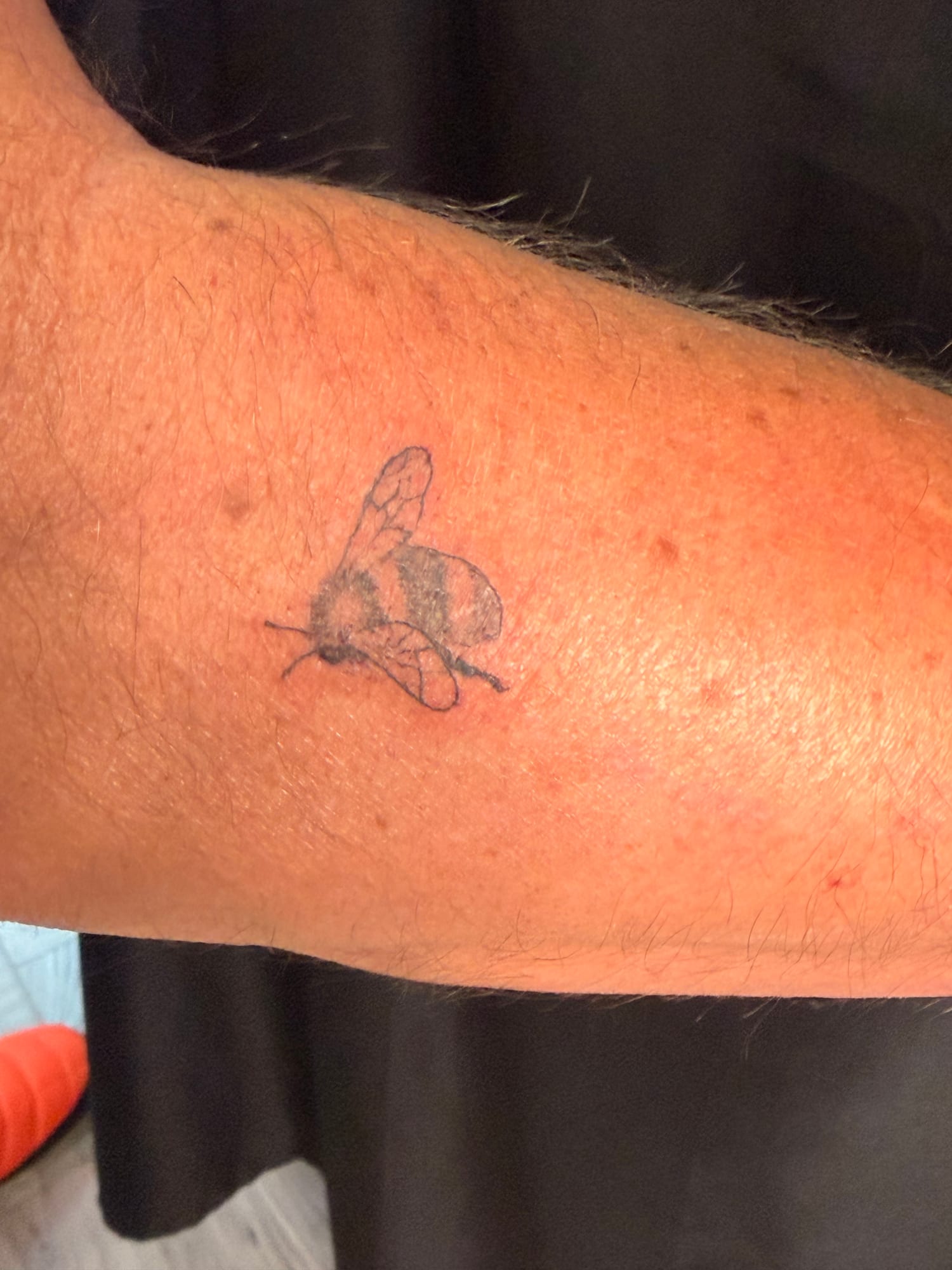 Small bumblebee with fine line wings on the forearm